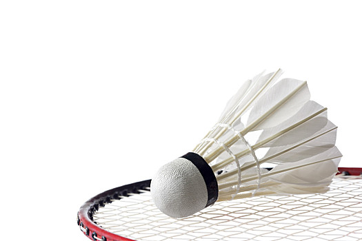 火箭赢麻了 火箭赢麻了