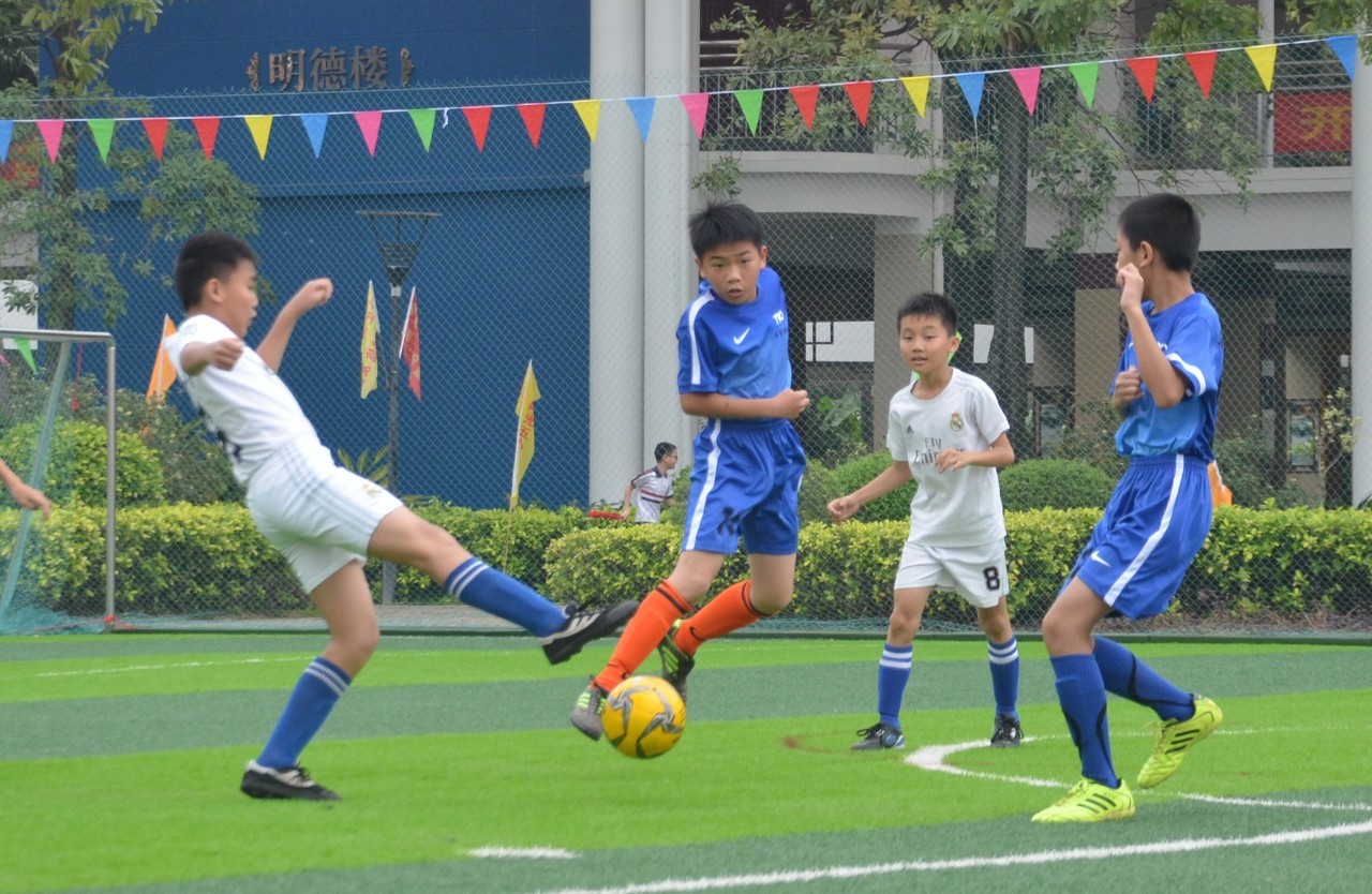 乓球队的后 乓球队的后