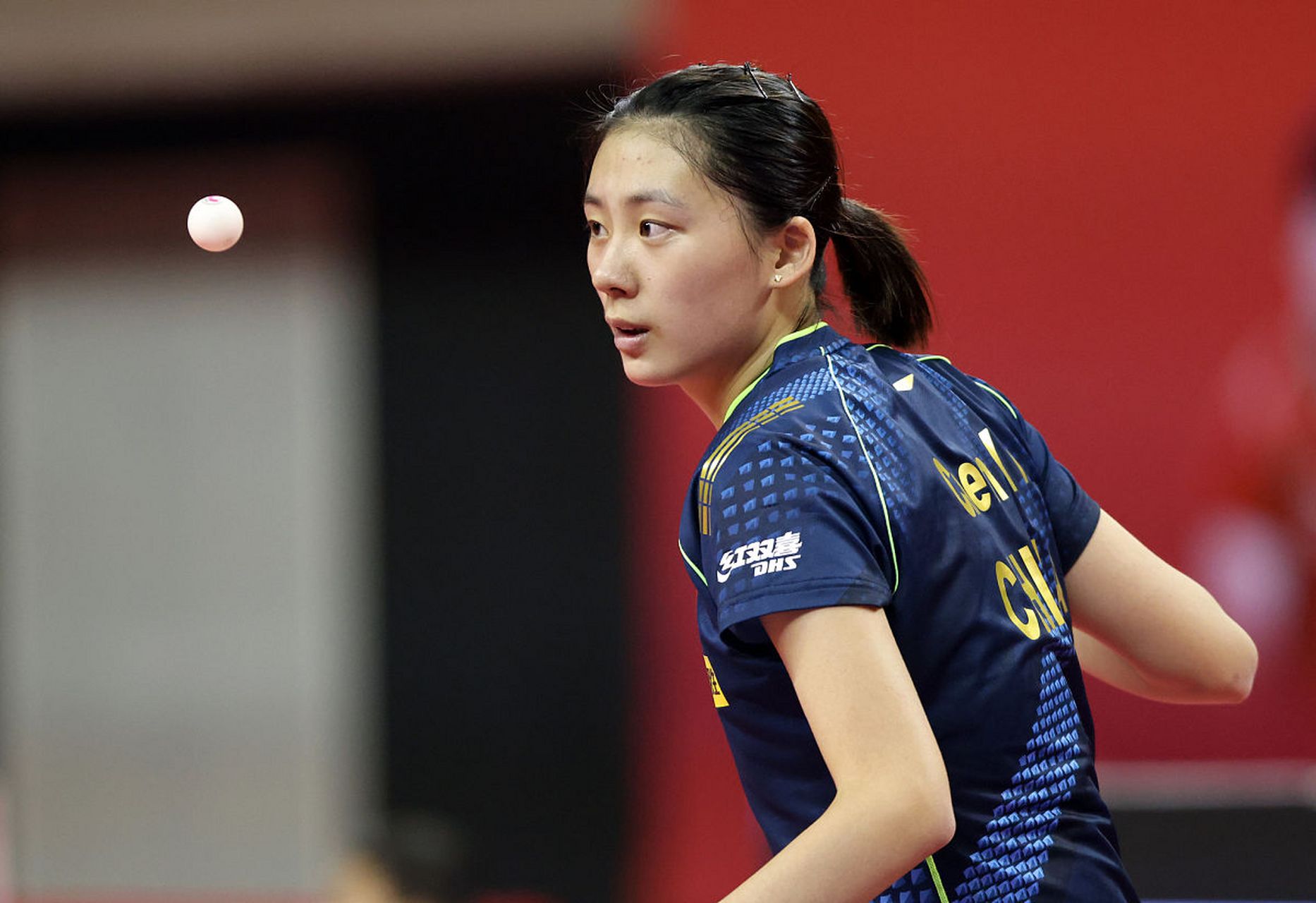 展现了其无 展现了其无