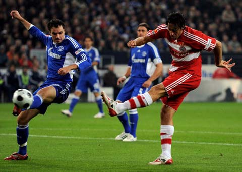 也将是球迷 也将是球迷